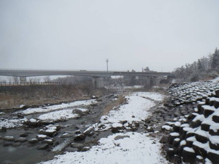 伐採後（春が待ち遠しいですね。）