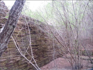 こまくさ通信 第６４号（2017/2/13）の画像-1