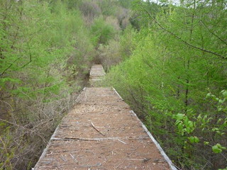 行き方　県道４９号線を分杭峠に向かって東に、県道２１０号線との交差点で左折後、車で約１０
