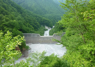 飯島第6砂防堰堤（上流から）H29.6