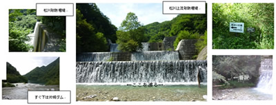 こまくさ通信 第６６号（2017/10/2）の画像-3