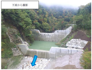 こまくさ通信 第６７号（2017/12/6）の画像-1