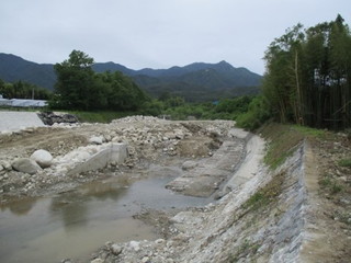 ６月中旬の様子