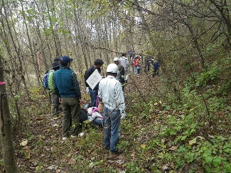 林の中にはフィールドサインがたくさん