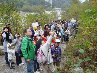 ウォーキング途中の自然観察