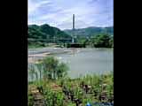 「新旧交替」阿南町本条