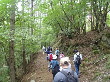 かつての奥浦集落へとつづく道