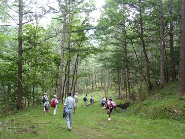 奥浦集落の跡地