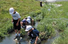 水辺の楽校プロジェクトの画像-1