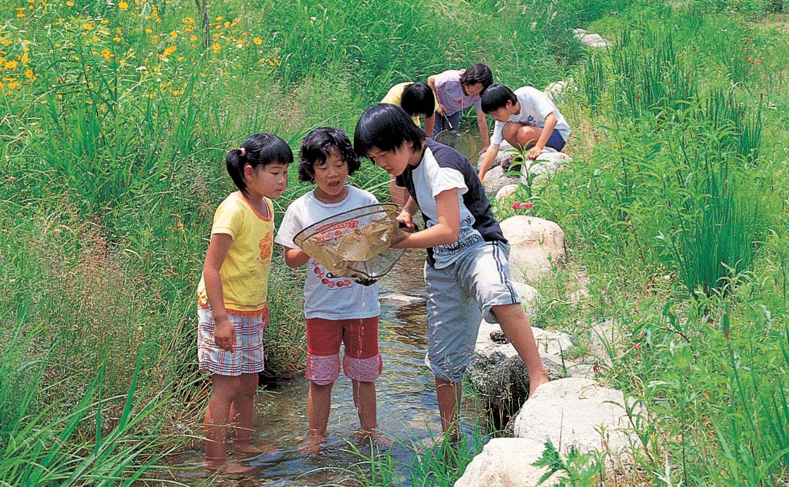 水辺の楽校プロジェクトの画像-3