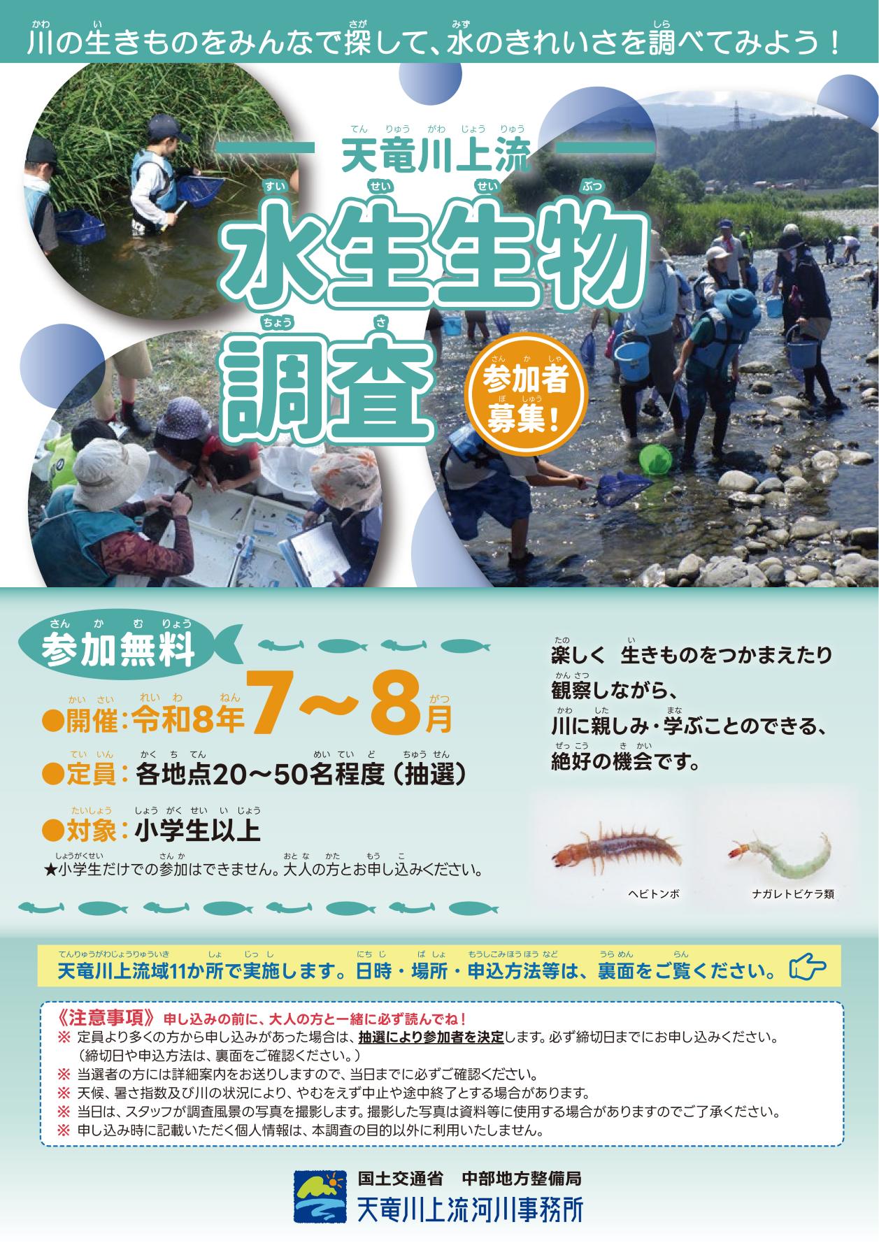 水生生物調査の画像-1