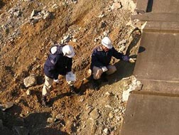 パトロールする当事務所の職員達