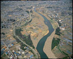 左:現状、 右:樹木伐採後