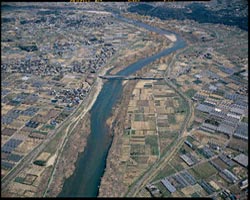 左:現状、 右:樹木伐採後