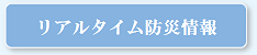 リアルタイム防災情報